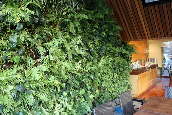 室内植物墙融合软装