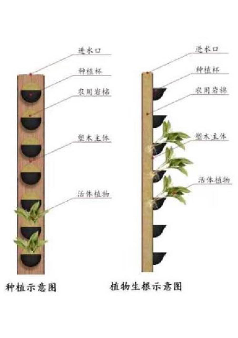 塑木通道式+岩棉植物墙容器介绍1_2.jpg