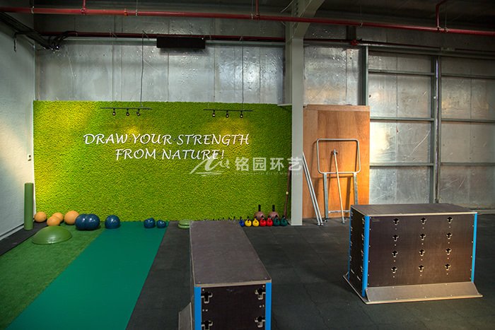 健身房苔藓植物墙