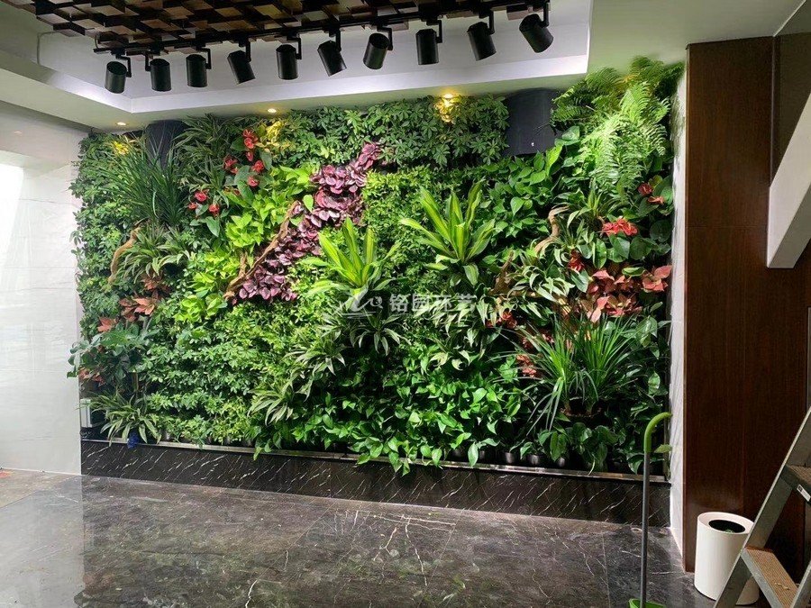 康管理中心室内植物墙