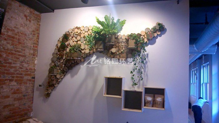 室内植物墙案例