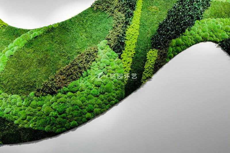 永生苔藓植物墙