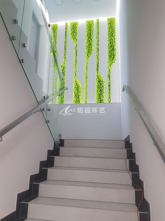室内制作植物墙