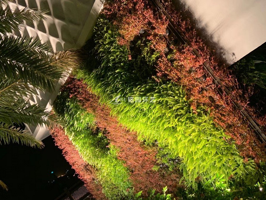 桂山岛别墅垂直绿化