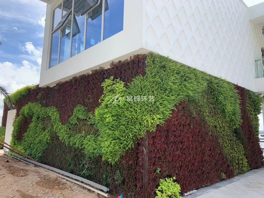 桂山岛酒店垂直绿化