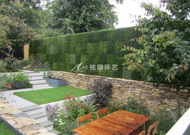庭院植物墙