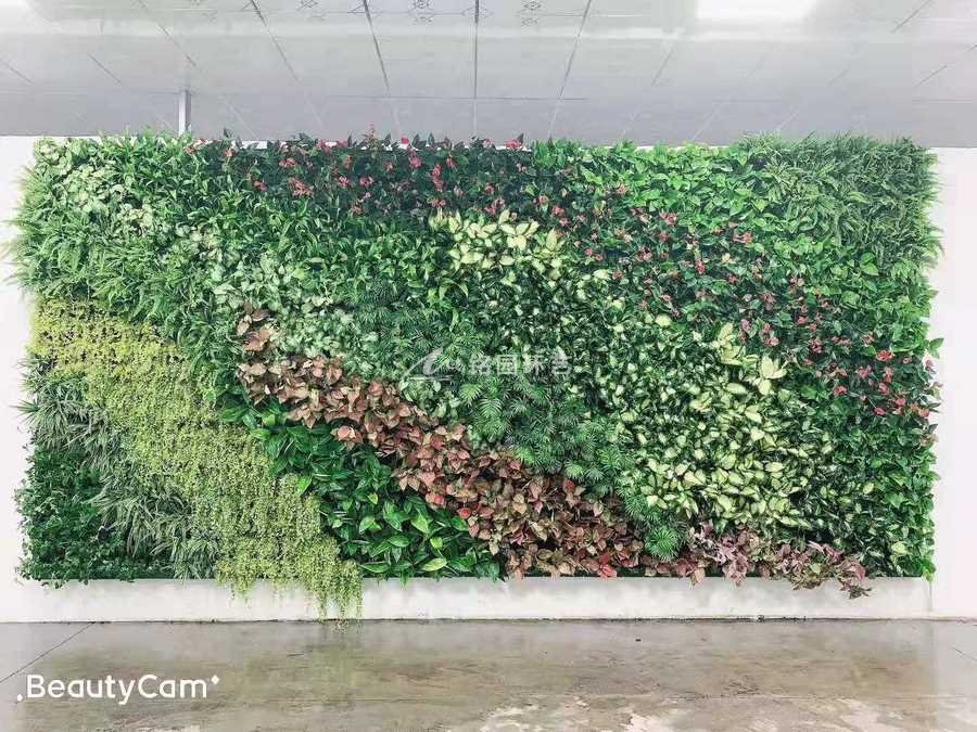 成都广良农业展厅形象垂直绿化植物墙