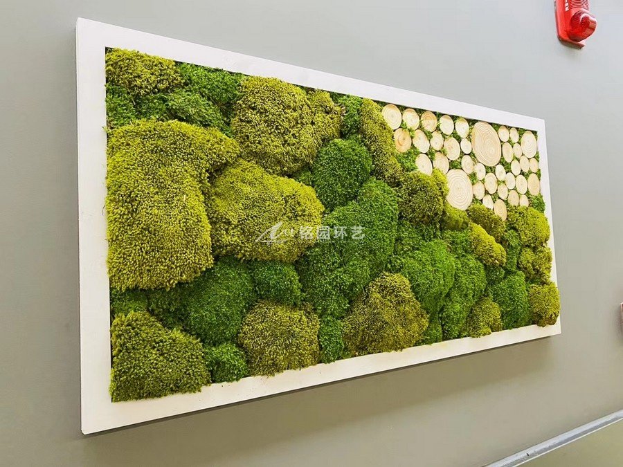 室内永生苔藓植物墙，清新视觉，创造有灵魂的景观