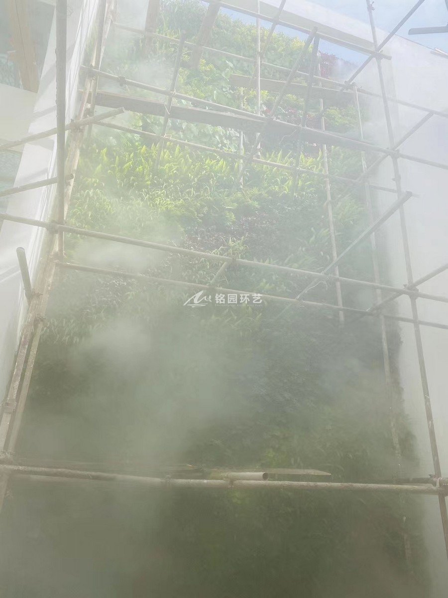 云雾中的植物墙，冷雾雾森系统与垂直绿化结合造景