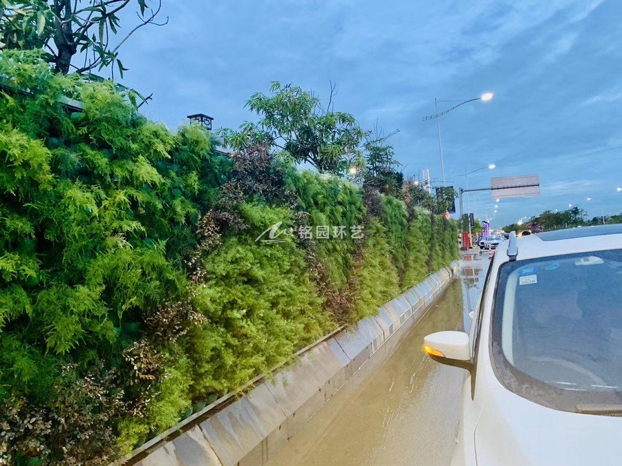 广州南沙垂直绿化新型生态植物墙围挡