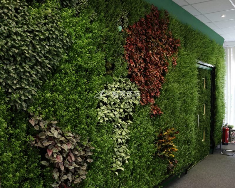 五彩斑斓的绿植墙