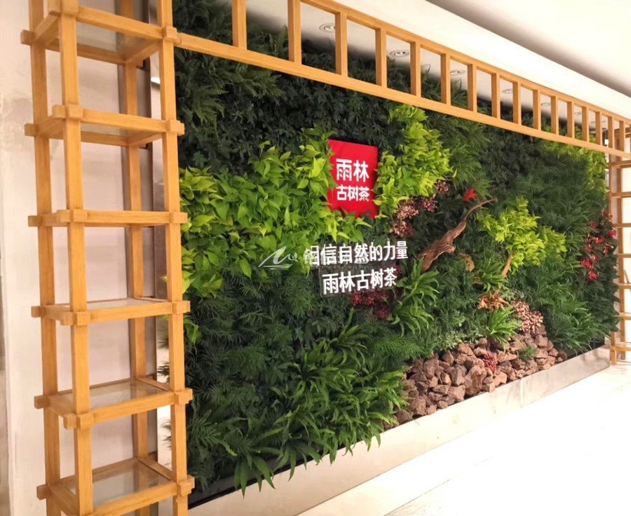 公司背景植物墙