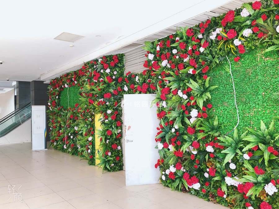 外墙植物墙