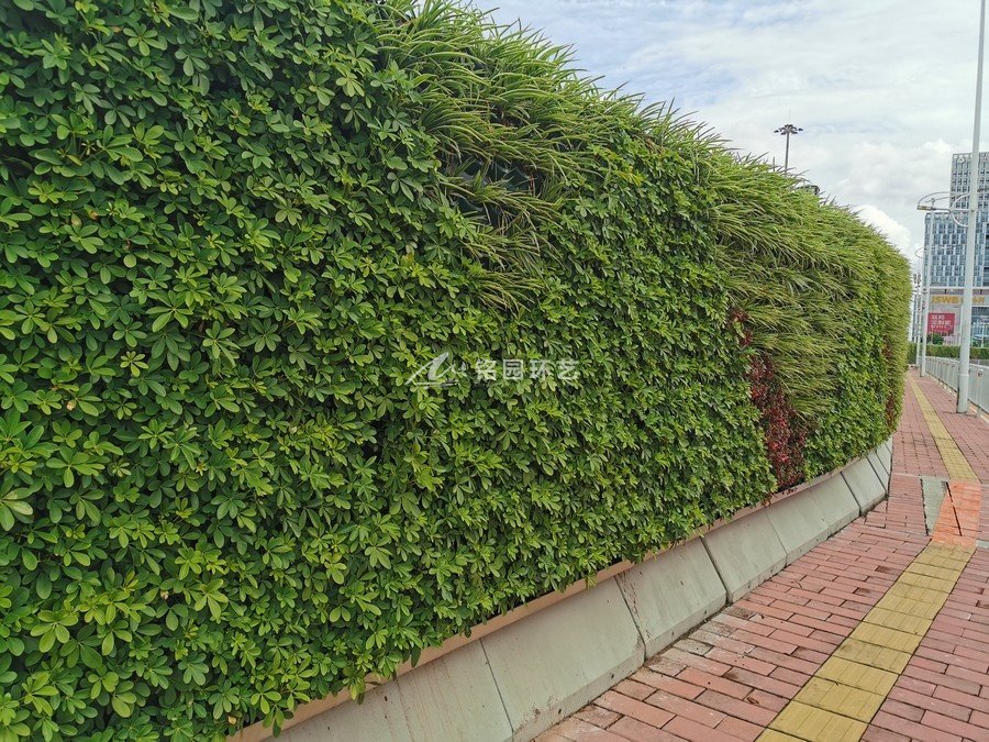 广州琶洲会展中心立体垂直绿化植物墙绿植围挡