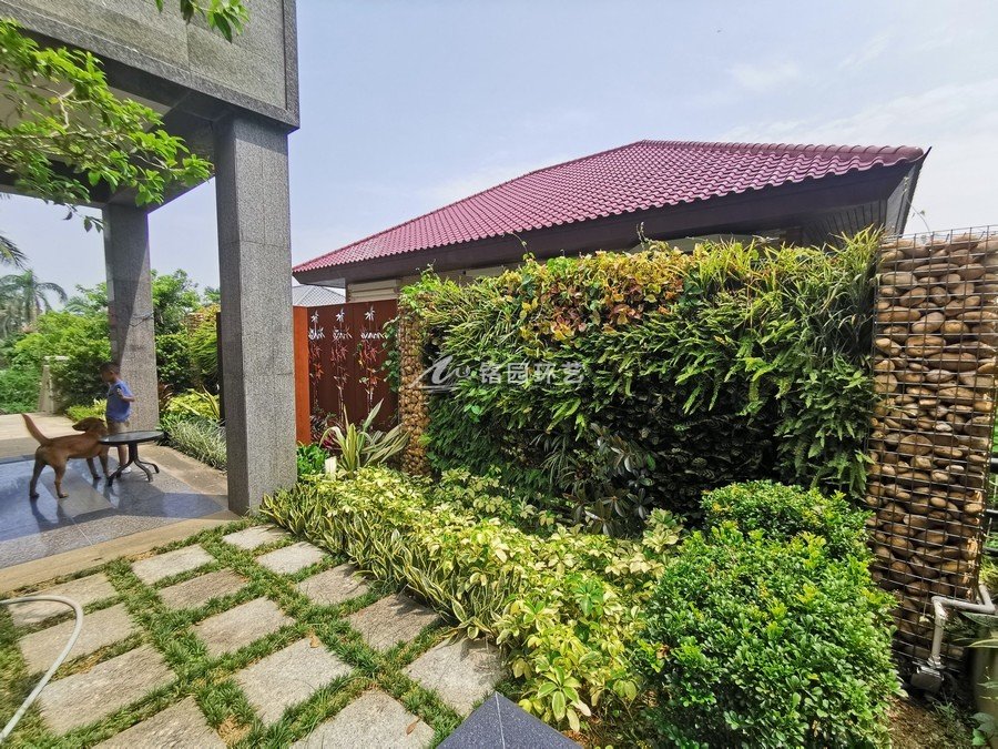 珠海聚龙溪山庄别墅围墙垂直绿化植物墙案例