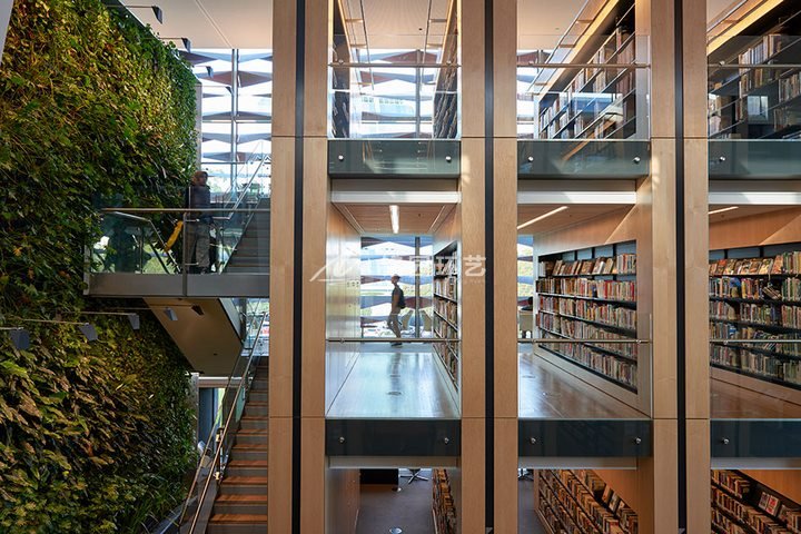 图书馆植物墙