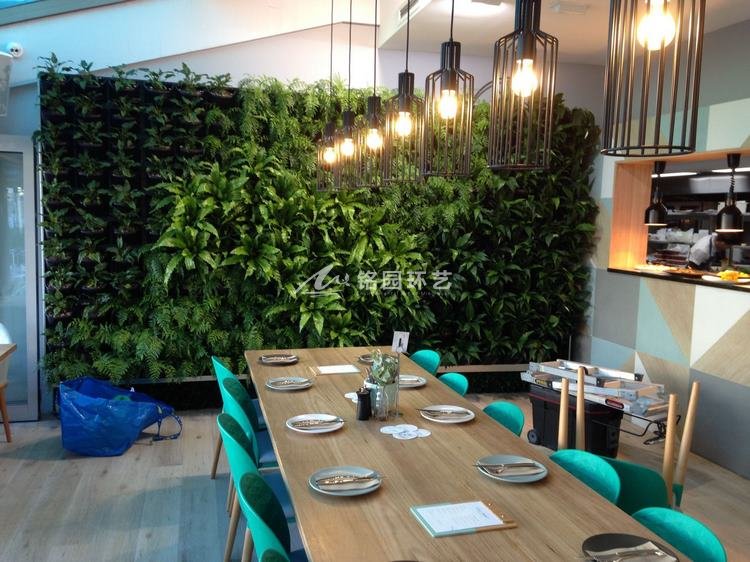 咖啡厅植物墙