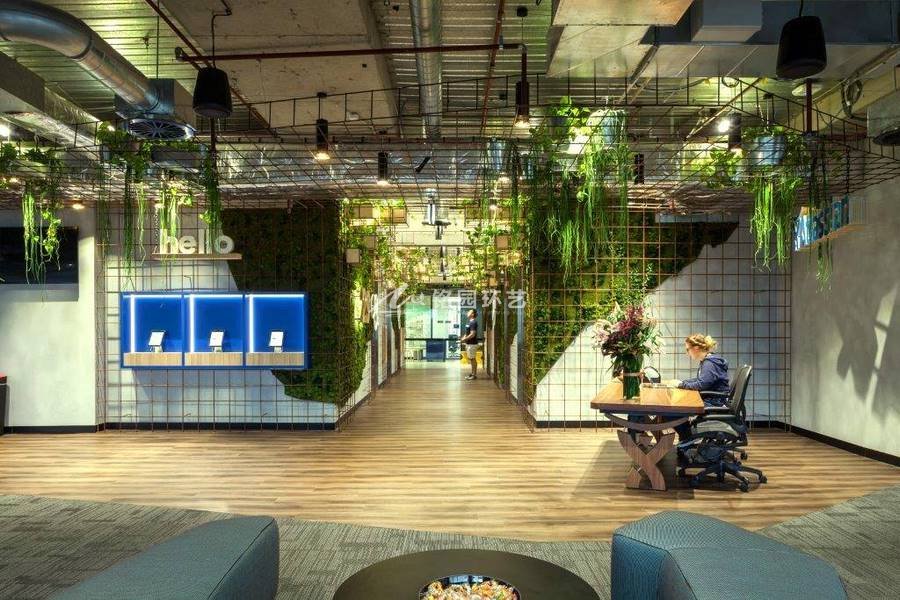 科技公司办公室植物墙，苔藓打造的现代工业风
