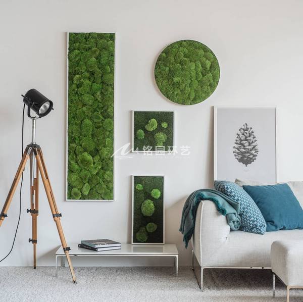 苔藓植物墙设计