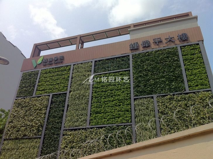 市政项目植物墙