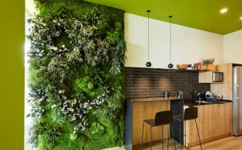 厨房植物墙