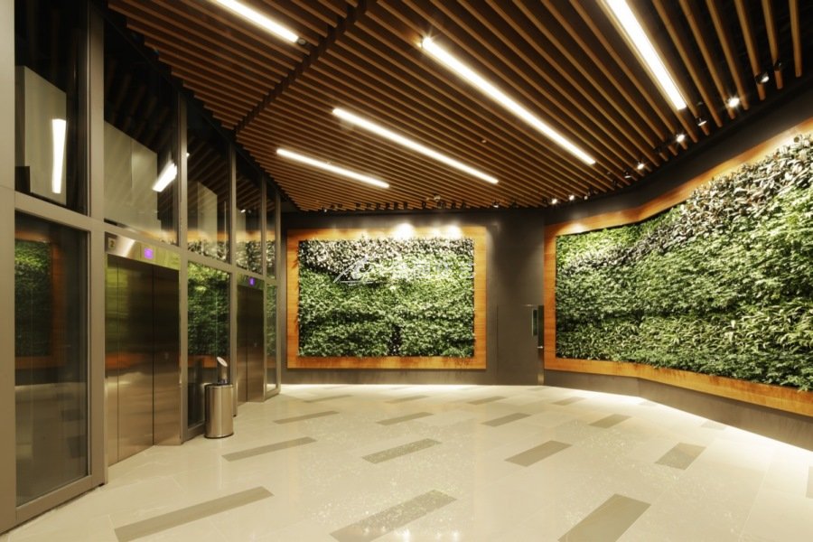 植物墙灯光设计