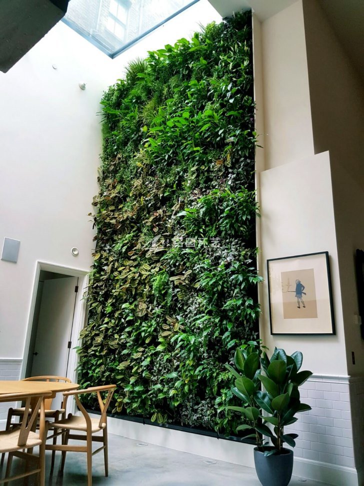 长条形植物墙