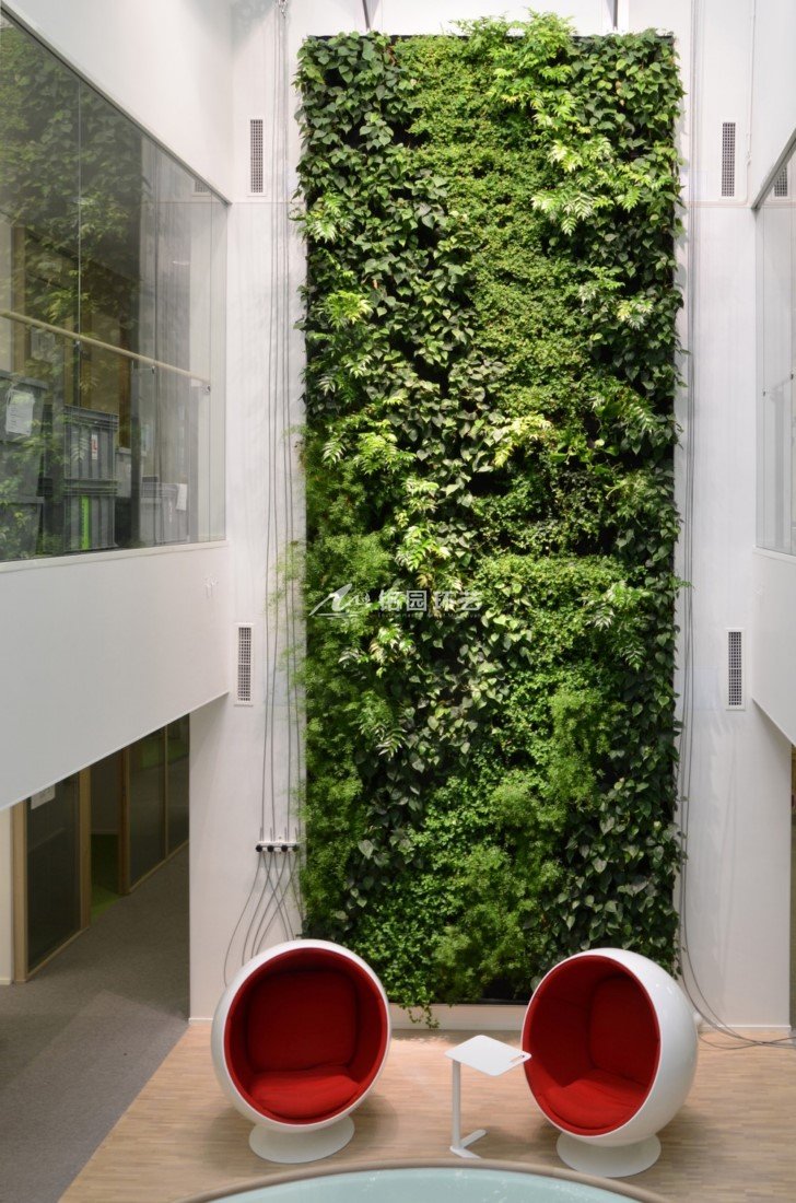长条形植物墙
