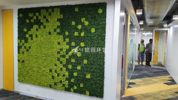办公室苔藓植物墙