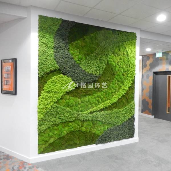 办公室苔藓植物墙