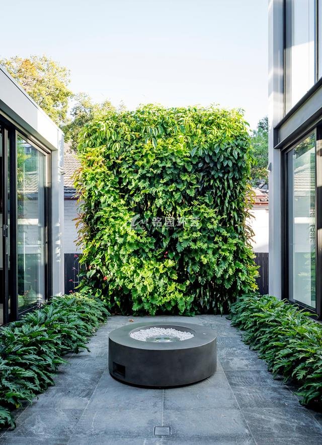 庭院垂直绿化植物墙