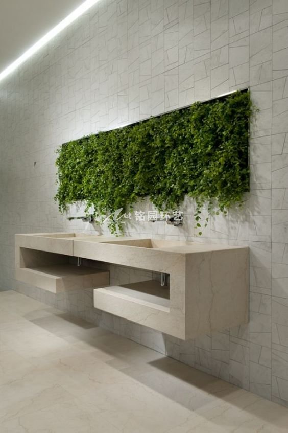 卫生间植物墙