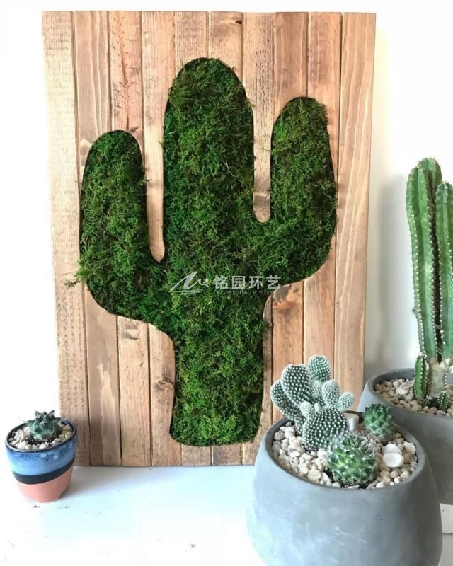 创意苔藓植物墙
