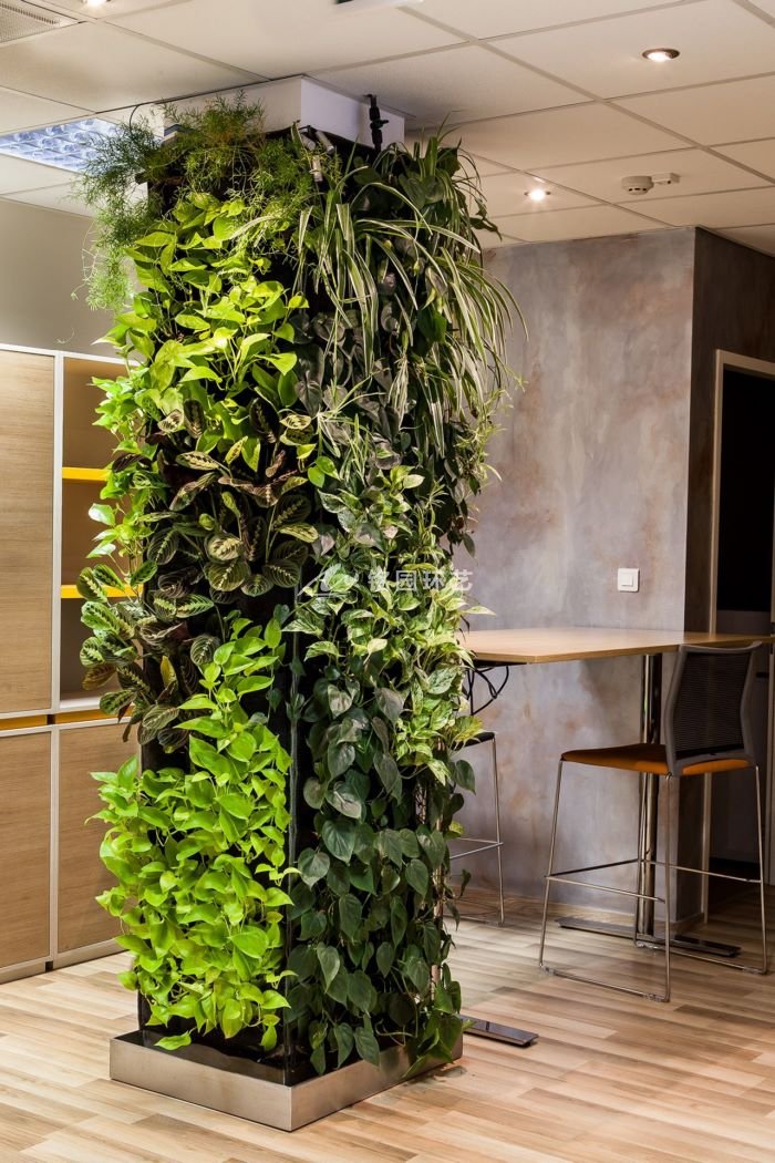 餐厅室内植物墙