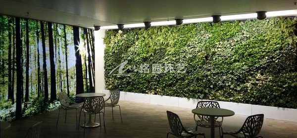 室内植物墙补光