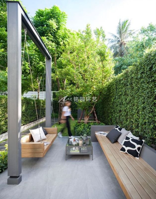 庭院垂直绿化