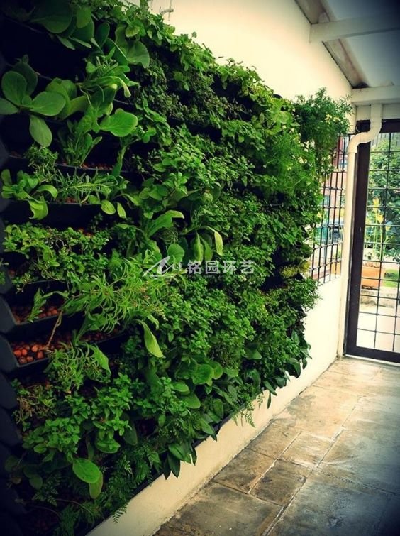15个别墅植物墙案例 室内室外造景 行业资讯 天海铭园植物墙