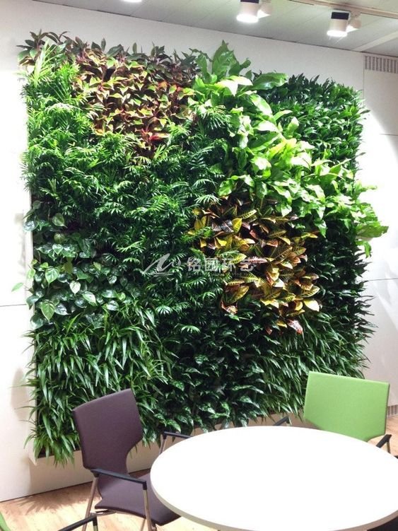 小型植物墙