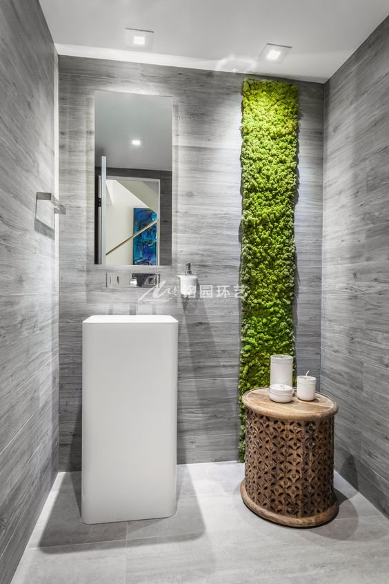 浴室植物墙