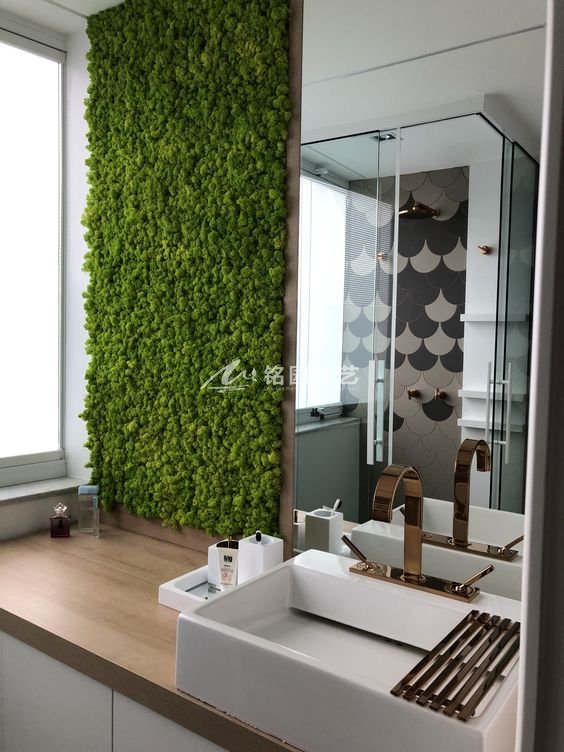 浴室植物墙