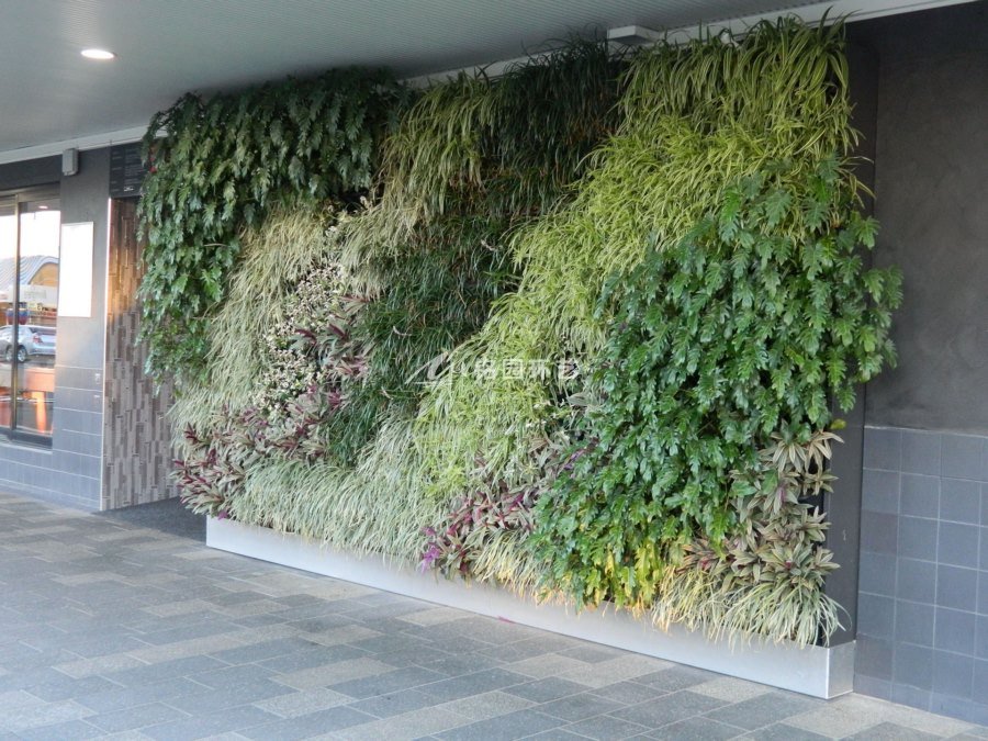 酒店外墙植物墙景观案例