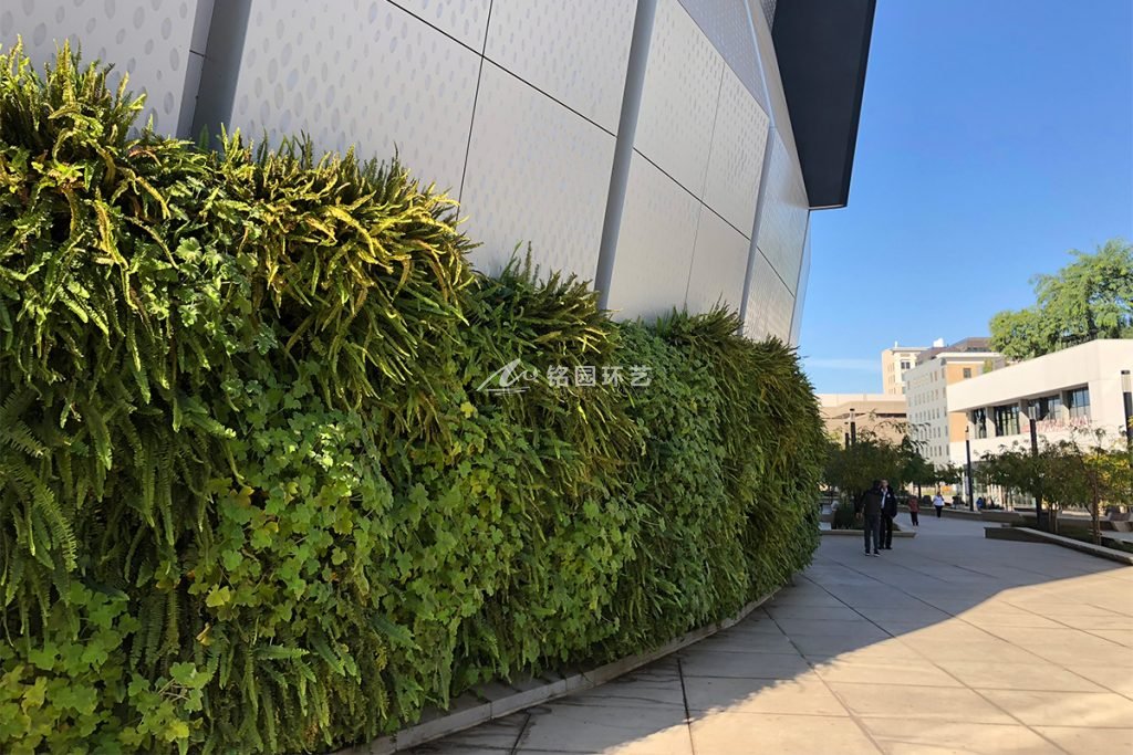 NBA球场室外垂直绿化