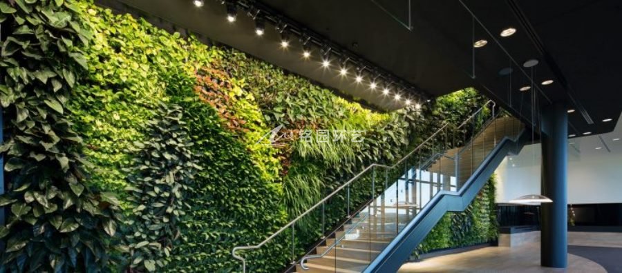 4S展厅垂直绿化