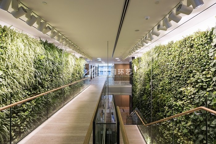 4S展厅垂直绿化