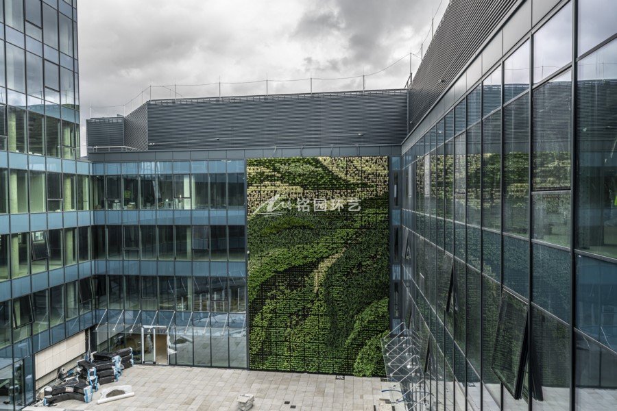 商业垂直绿化：商务区幕墙植物墙案例