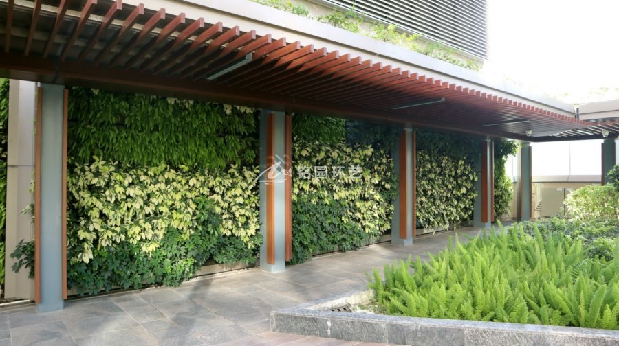 小区植物墙景观