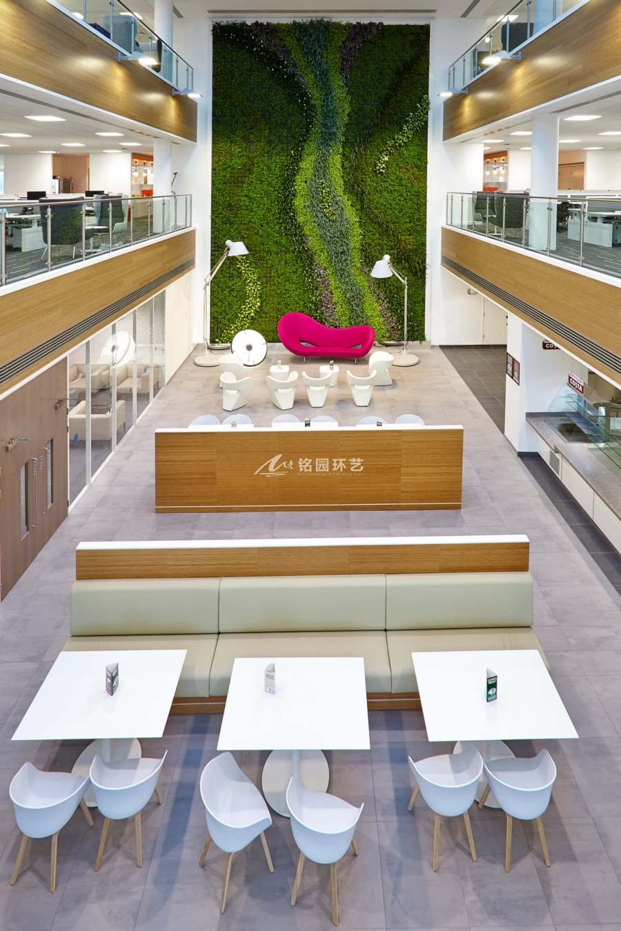 办公室垂直绿化：大型室内植物墙实景案例