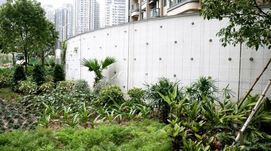 小区公共区域垂直绿化植物墙景观案例