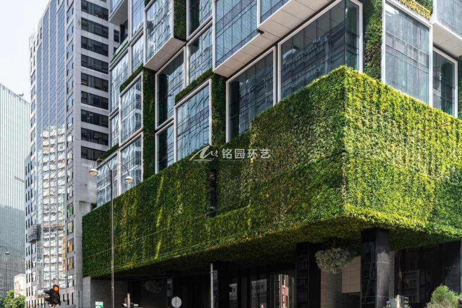 K11办公大楼垂直绿化，室外植物墙生态景观