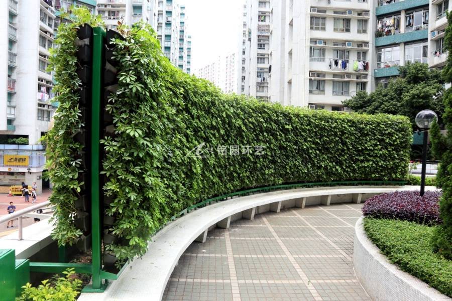 住宅小区公共休闲垂直绿化植物墙景观